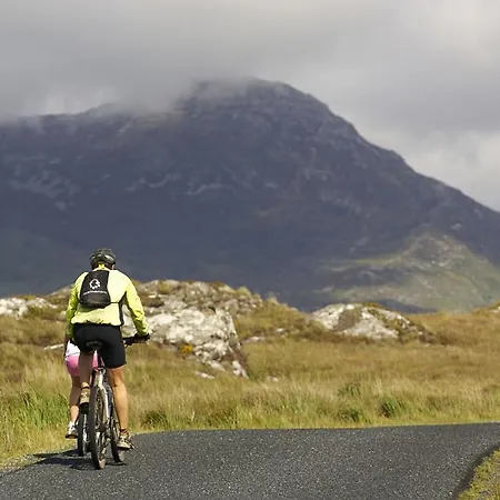 433 - Балликоннили